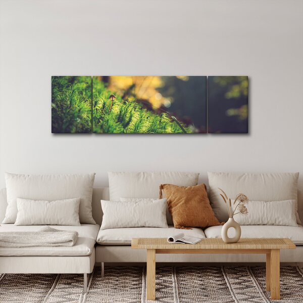 Obraz mechu s houbou (170x50 cm)