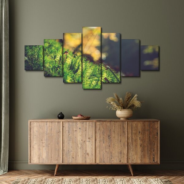 Obraz mechu s houbou (210x100 cm)