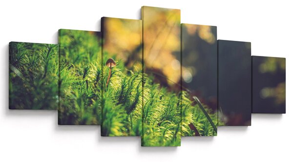 Obraz mechu s houbou (210x100 cm)