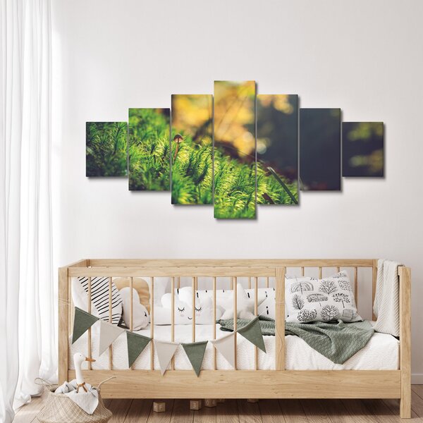 Obraz mechu s houbou (210x100 cm)