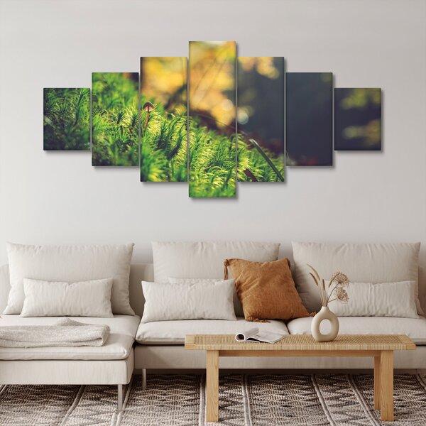 Obraz mechu s houbou (210x100 cm)