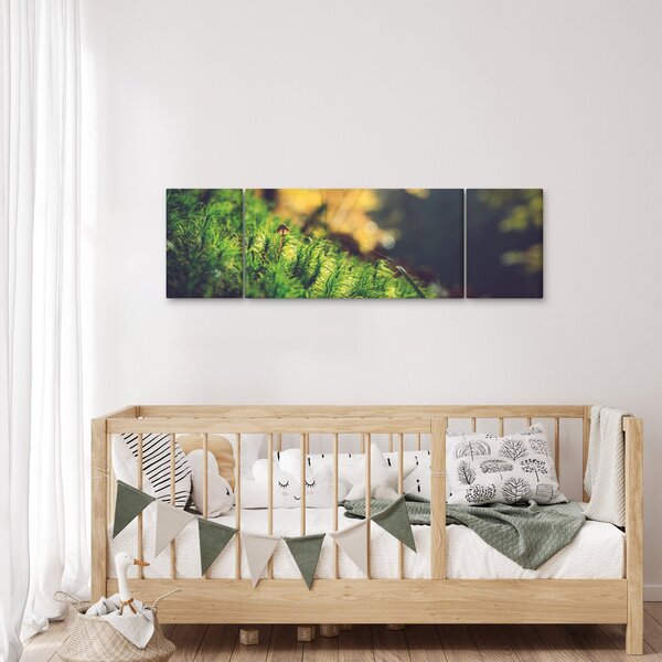 Obraz mechu s houbou (170x50 cm)