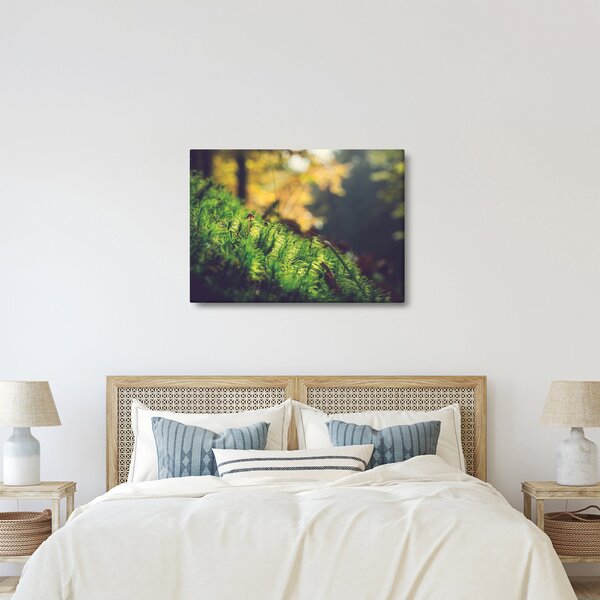 Obraz mechu s houbou (70x50 cm)