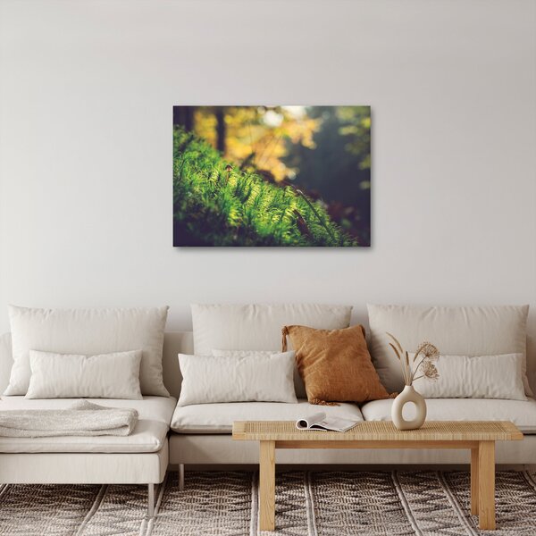 Obraz mechu s houbou (70x50 cm)