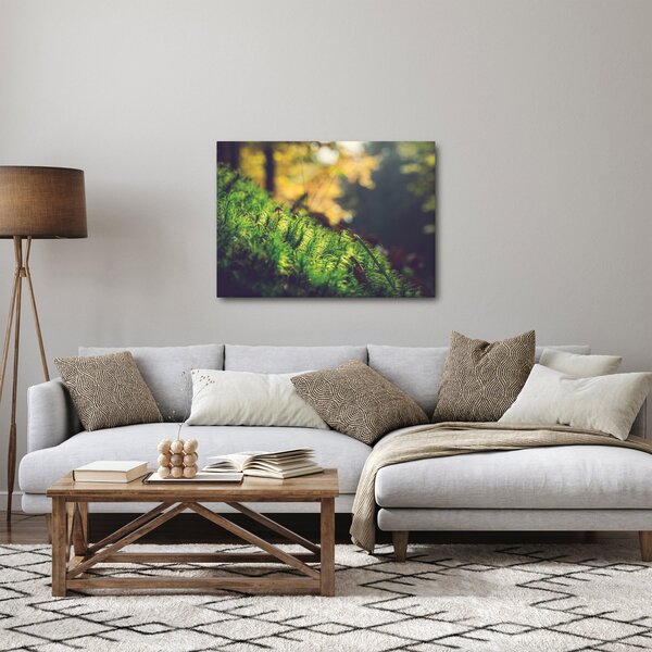 Obraz mechu s houbou (70x50 cm)