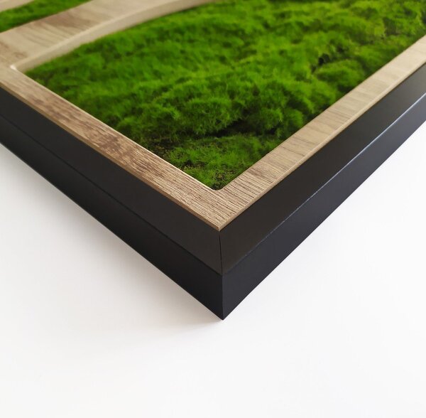 Nástěnná dekorace 50x100 cm Tree – Styler