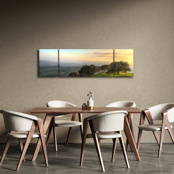 Obraz - Výhled z kopce (170x50 cm)