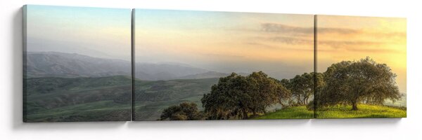 Obraz - Výhled z kopce (170x50 cm)