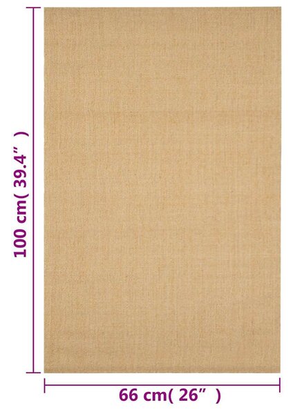 Koberec přírodní sisal 66 x 100 cm 136298