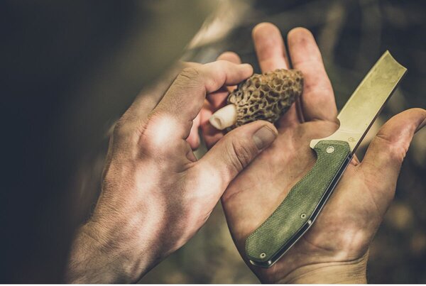 Asada Cleaver Nůž, barva onyx GERBER 1055364