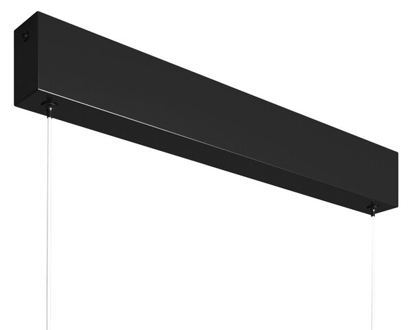 STROPNÍ ZÁVĚSNÉ SVÍTIDLO, 118,5/20-130/4 cm MAYTONI - Online Only svítidla, Online Only