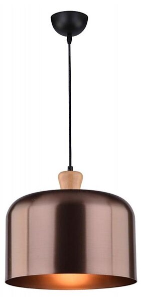 Lustr na lanku DICTORIA 1xE27/40W/230V