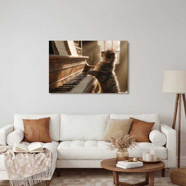 Obraz kočka a piano