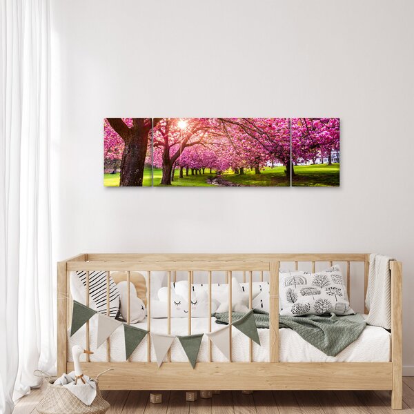 Obraz rozkvetlých třešní, Hurd Park, Dover, New Jersey (170x50 cm)