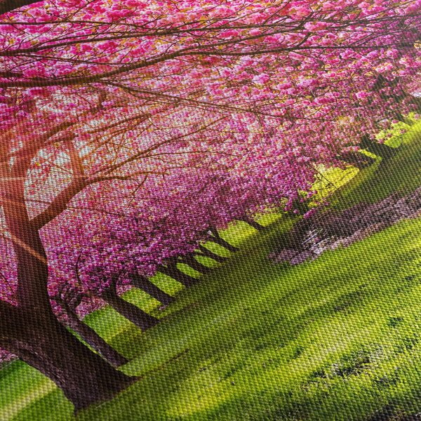 Obraz rozkvetlých třešní, Hurd Park, Dover, New Jersey (s hodinami) (90x30 cm)