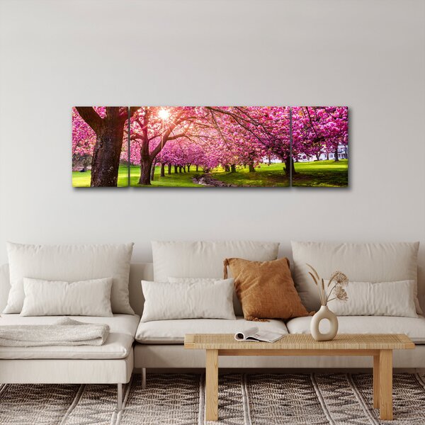 Obraz rozkvetlých třešní, Hurd Park, Dover, New Jersey (170x50 cm)
