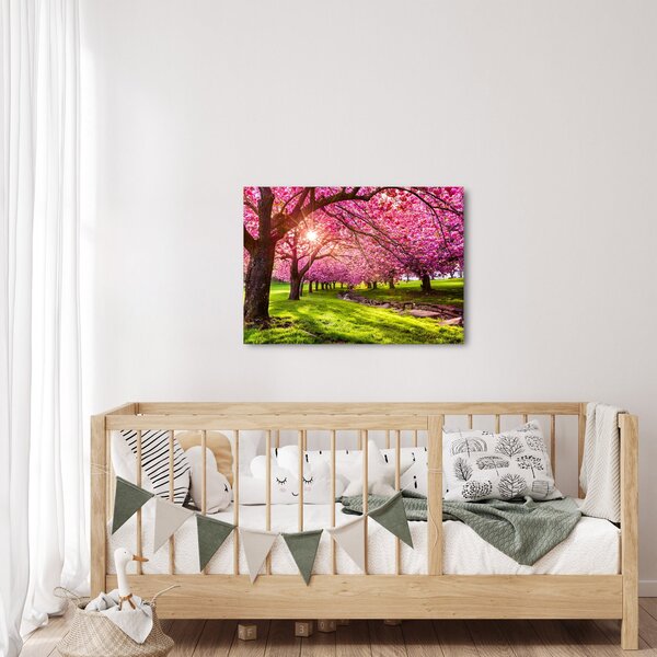 Obraz rozkvetlých třešní, Hurd Park, Dover, New Jersey (70x50 cm)