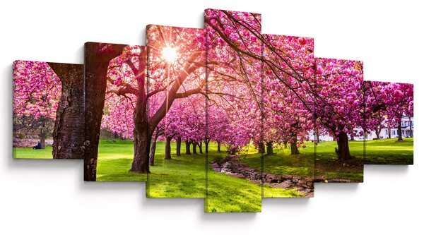 Obraz rozkvetlých třešní, Hurd Park, Dover, New Jersey (210x100 cm)