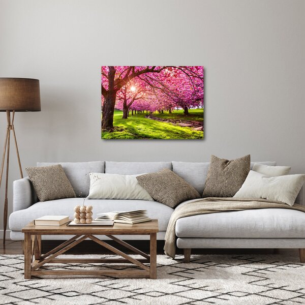 Obraz rozkvetlých třešní, Hurd Park, Dover, New Jersey (70x50 cm)