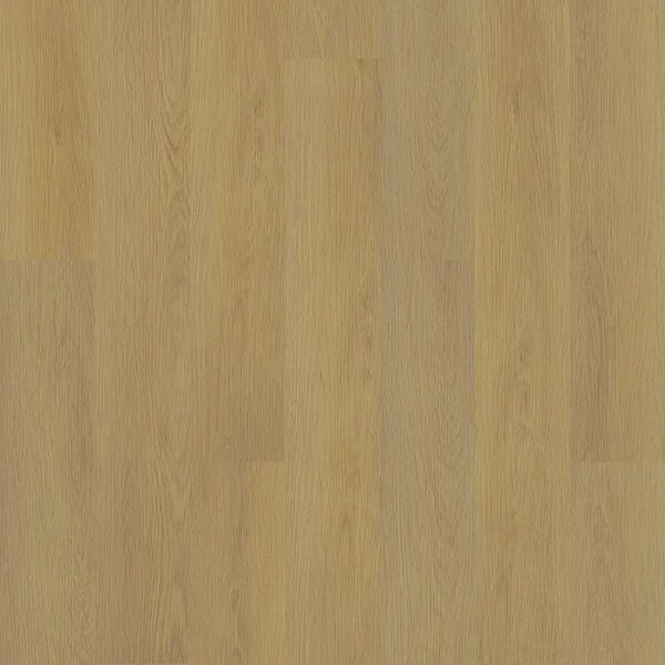 Vinylová plovoucí podlaha Area Floors Wood Click Rigid 5305 Dub solid 2,503 m²