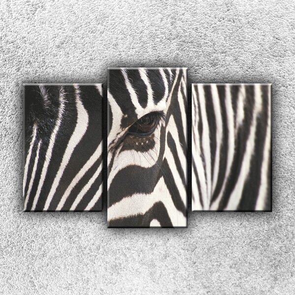 IMPAR Foto na plátno Zebra - oko 75x50 cm