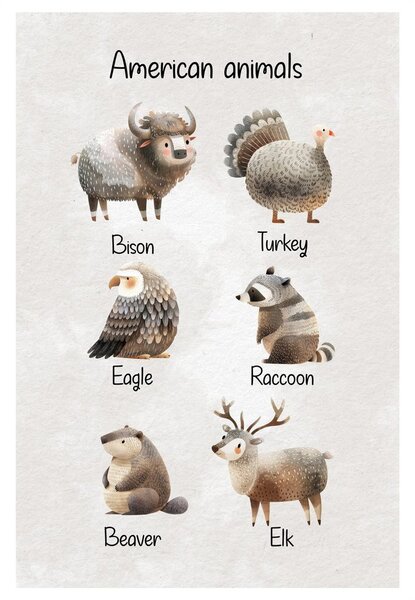 Obraz americká zvířata v ilustraci