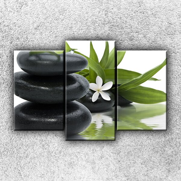 IMPAR Foto na plátno Květ s kameny 75x50 cm