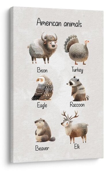 Obraz americká zvířata v ilustraci