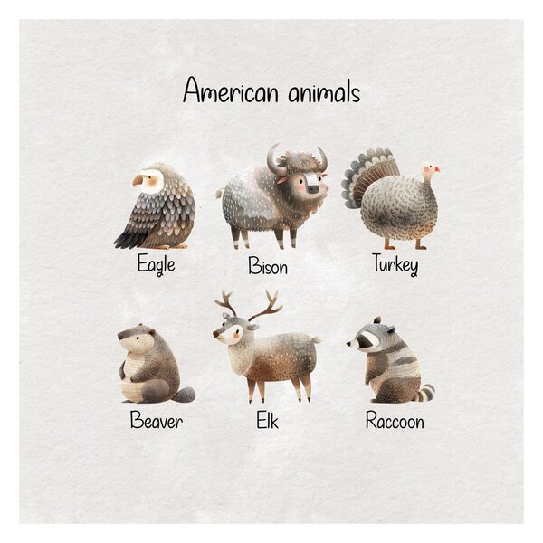 Obraz ilustrace amerických zvířat