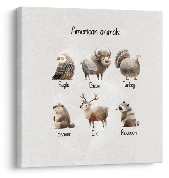 Obraz ilustrace amerických zvířat