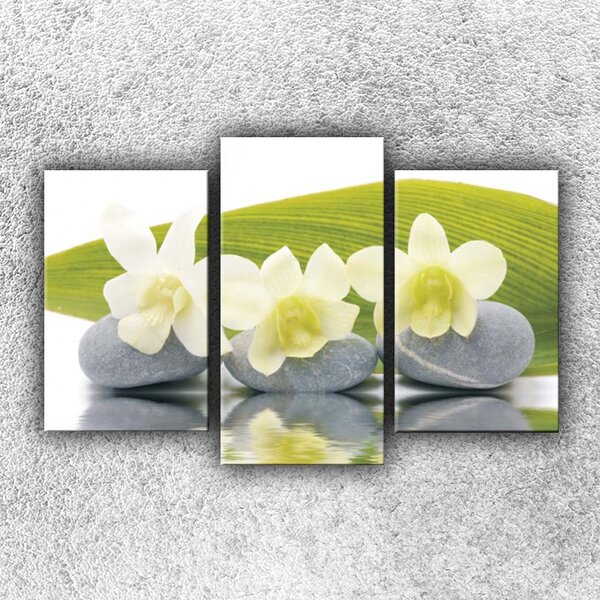IMPAR Foto na plátno Květy na kamenech 75x50 cm