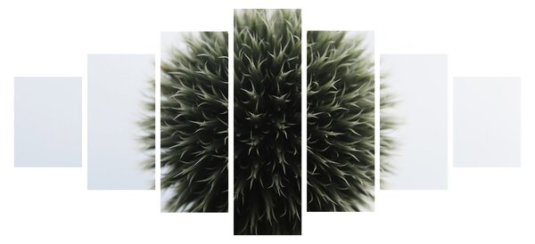 Obraz květinové koule (210x100 cm)