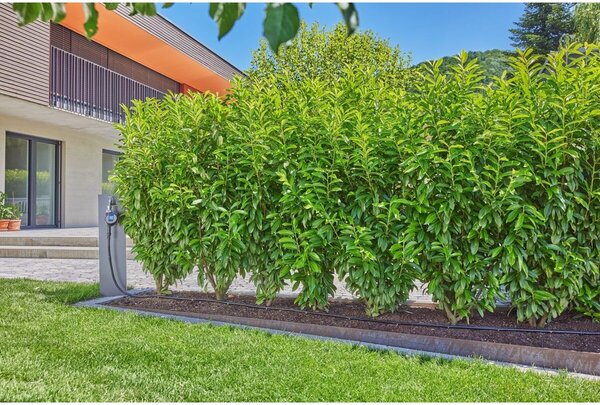 MDS Startovní set pro živé ploty/keře 25 m GARDENA 13500-20