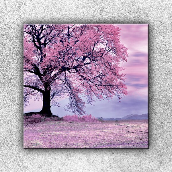 IMPAR Fotografie na plátno Růžový strom 3 70x70 cm
