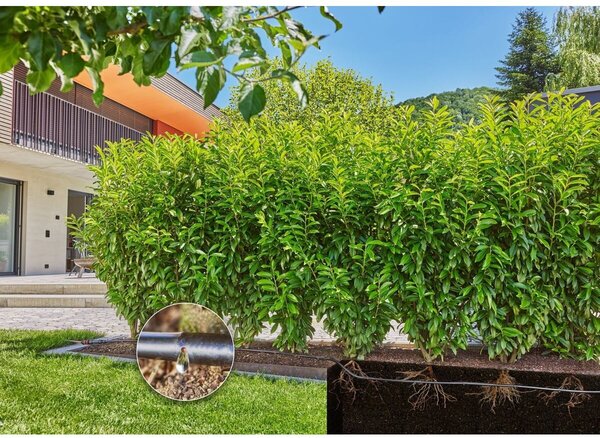 MDS Startovní set pro živé ploty/keře 25 m GARDENA 13500-20