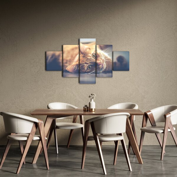 Obraz kočky na podlaze (125x70 cm)