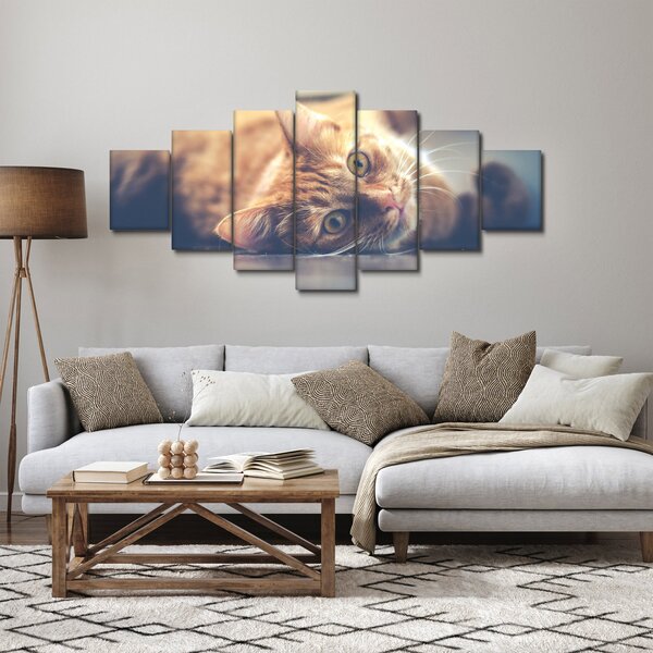 Obraz kočky na podlaze (210x100 cm)
