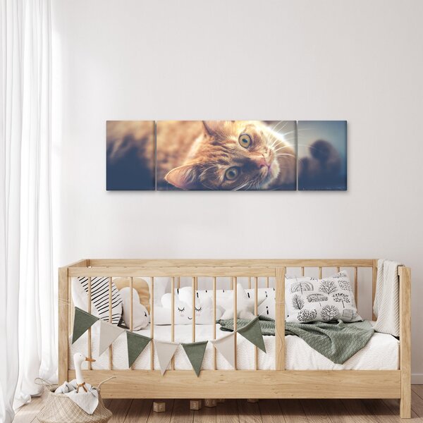 Obraz kočky na podlaze (170x50 cm)