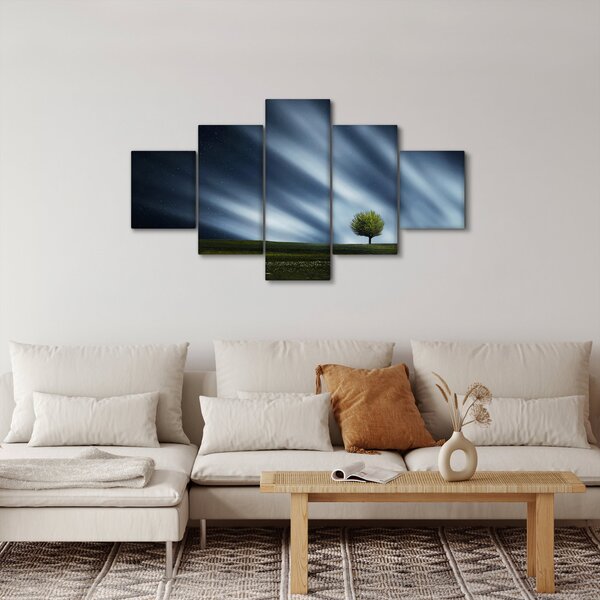 Obraz polární záře nad vřesovištěm (125x70 cm)
