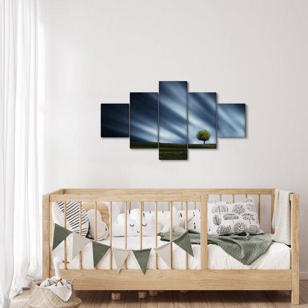 Obraz polární záře nad vřesovištěm (125x70 cm)