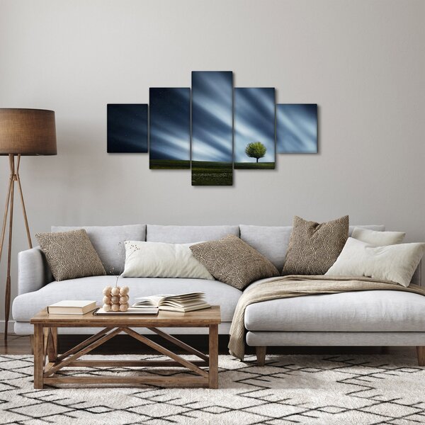 Obraz polární záře nad vřesovištěm (125x70 cm)