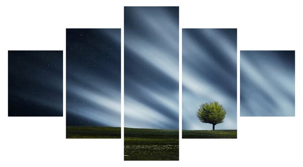 Obraz polární záře nad vřesovištěm (125x70 cm)