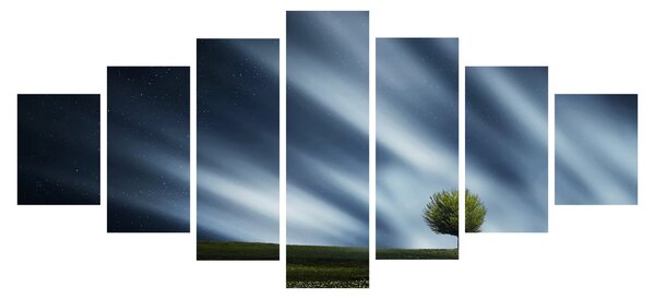 Obraz polární záře nad vřesovištěm (210x100 cm)