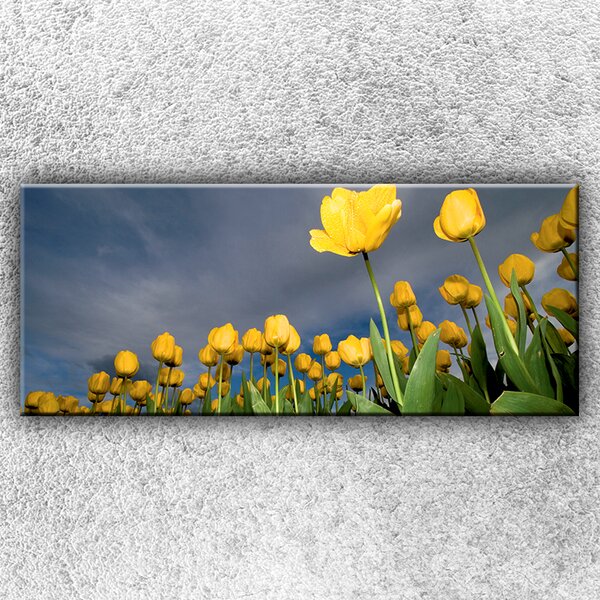 IMPAR Fotografie na plátno Pole žlutých tulipánů 1 120x50 cm