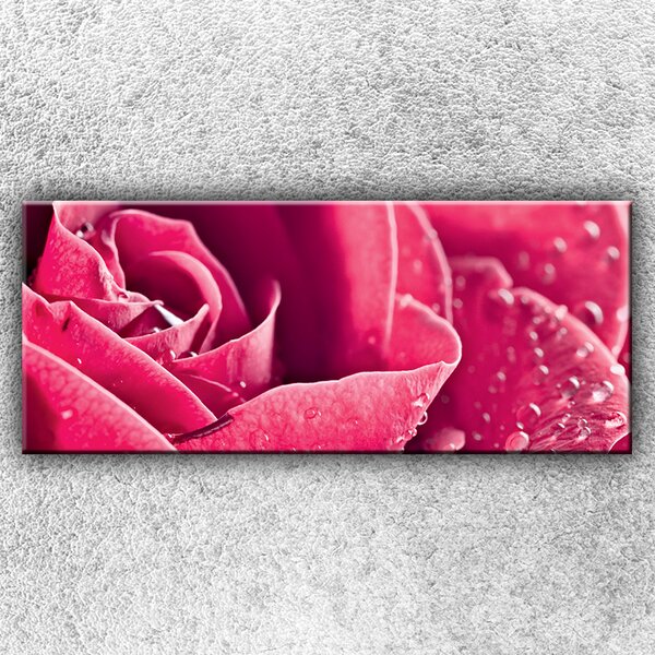 IMPAR Fotografie na plátno Růžová růže 2 120x50 cm