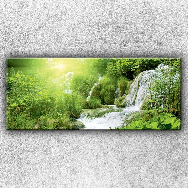 IMPAR Foto na plátno Lesní vodopád 1 120x50 cm