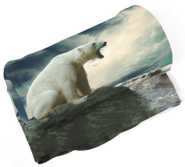 IMPAR Fleecová deka Lední medvěd 150x120 cm (Rozměr : 150 x 120 cm)