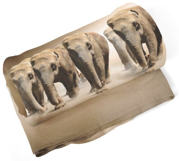 IMPAR Fleecová deka Sloni v poušti 150x120 cm (Rozměr : 150 x 120 cm)