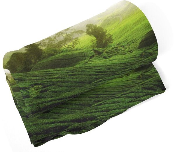 IMPAR Fleecová deka Zelené pole 150x120 cm (Rozměr : 200 x 140 cm)