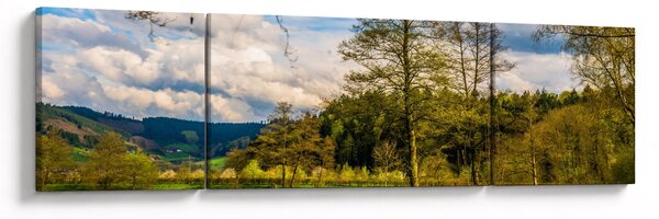 Obraz loďky u jezera (170x50 cm)
